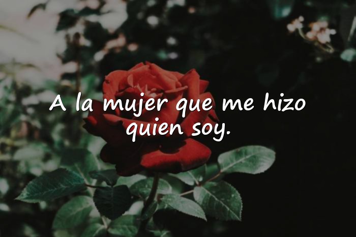 Imágenes dedicatorias para las madres - 14