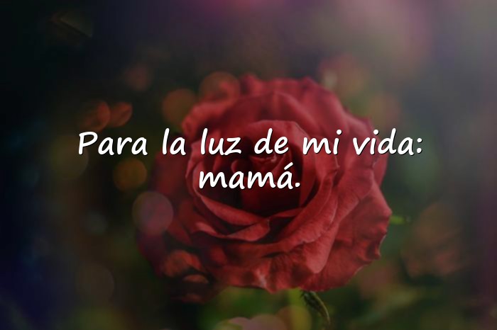 Imágenes dedicatorias para las madres - 10
