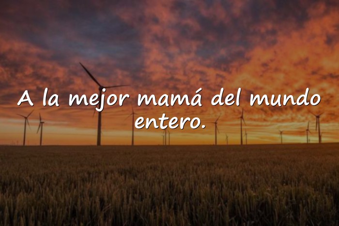 Imágenes dedicatorias para las madres - 6