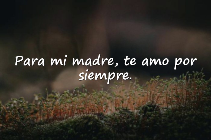 Imágenes dedicatorias para las madres - 1
