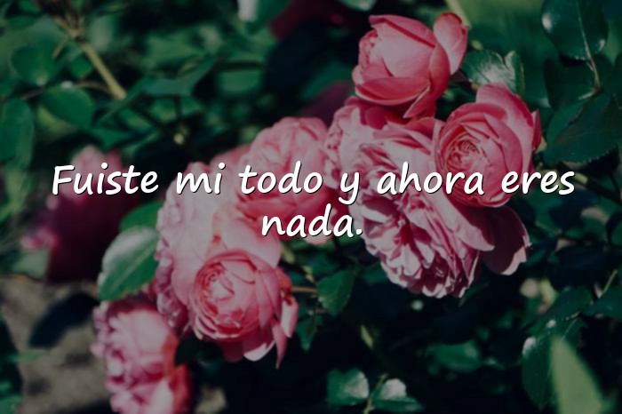 Imágenes desamor frases - 22
