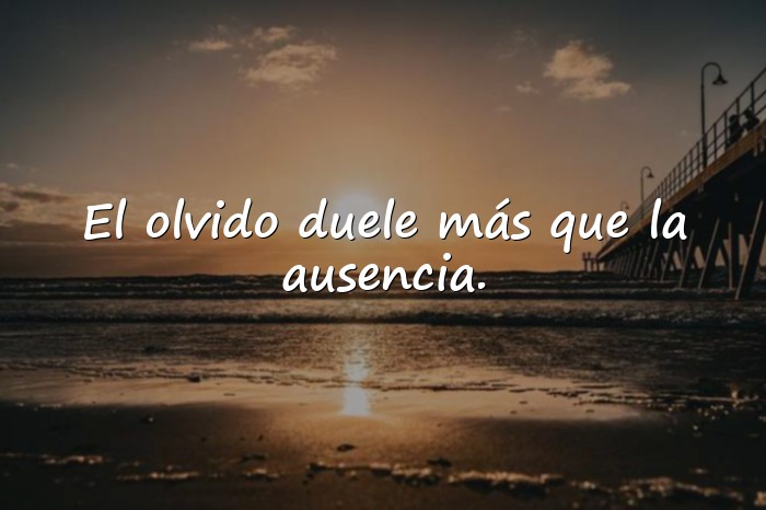 Imágenes desamor frases - 18