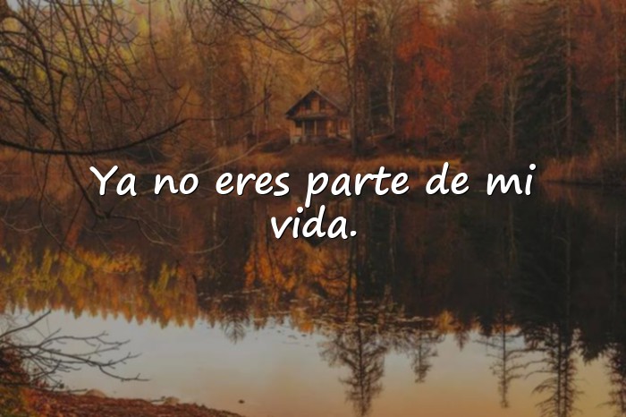 Imágenes desamor frases - 15