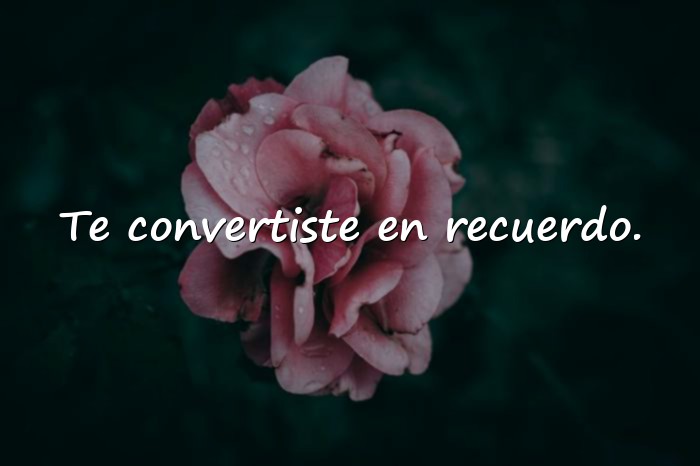 Imágenes desamor frases - 13