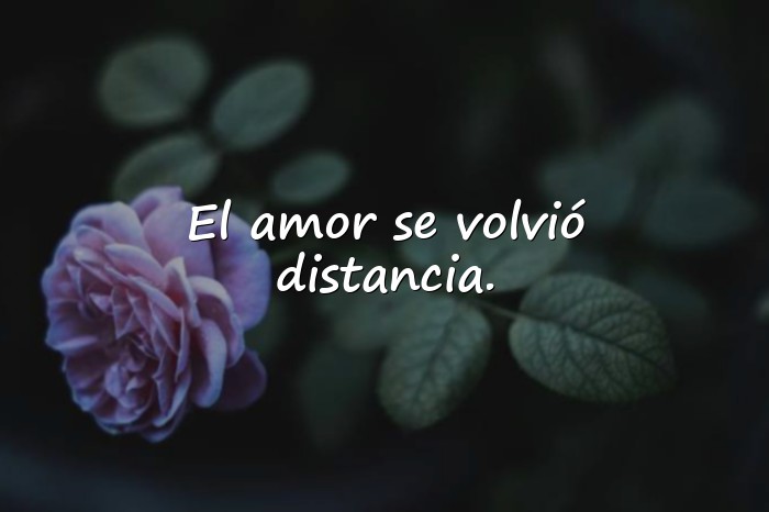 Imágenes desamor frases - 9