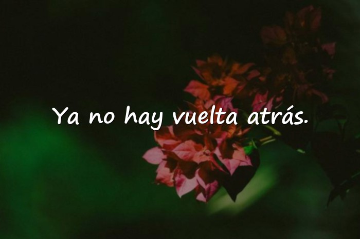 Imágenes desamor frases - 5