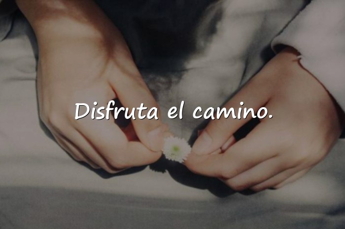 Imágenes descripción para whatsapp - 11