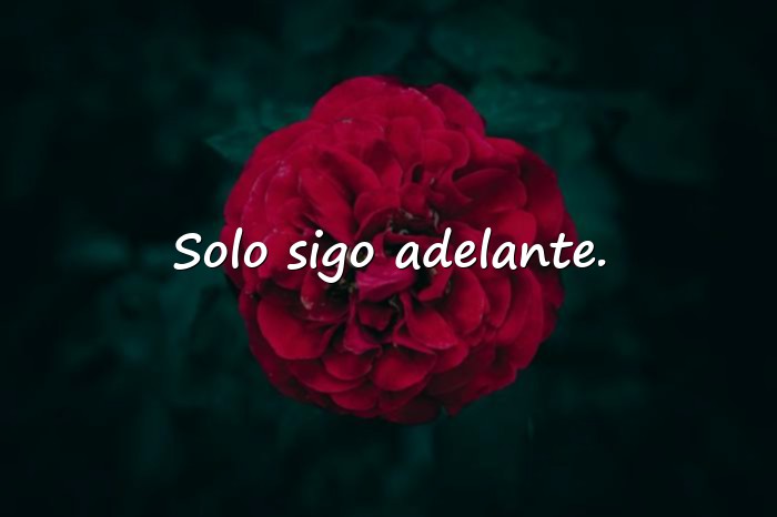 Imágenes descripción para whatsapp - 10