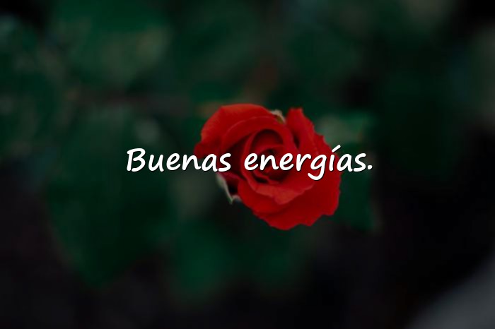 Imágenes descripción para whatsapp - 6