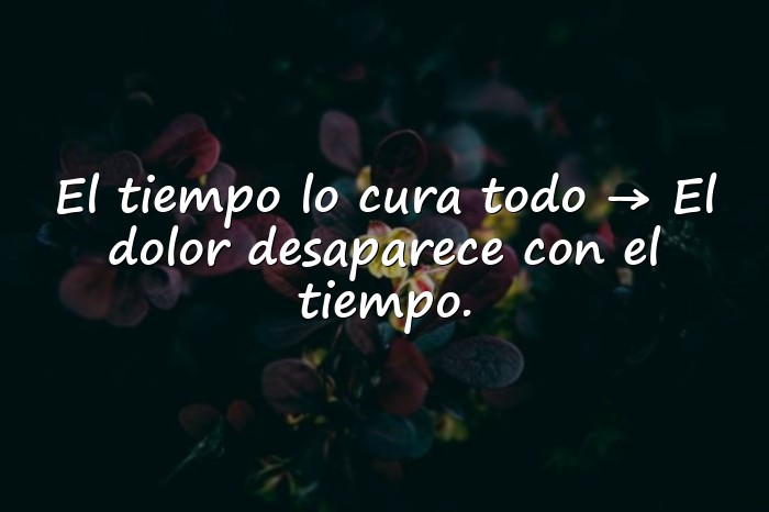 Imágenes dichos con su significado - 6