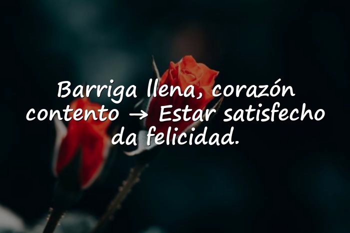 Imágenes dichos con su significado - 21