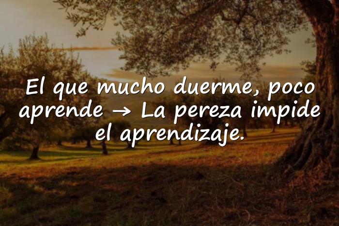Imágenes dichos con su significado - 1