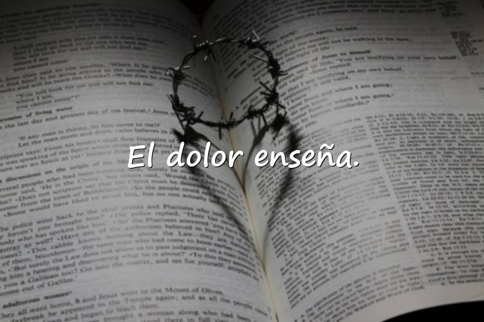 Imágenes dichos cortos - 3