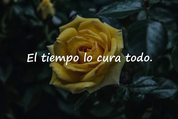 Imágenes dichos de la vida - 17