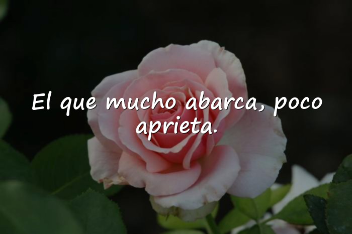 Imágenes dichos de la vida - 14
