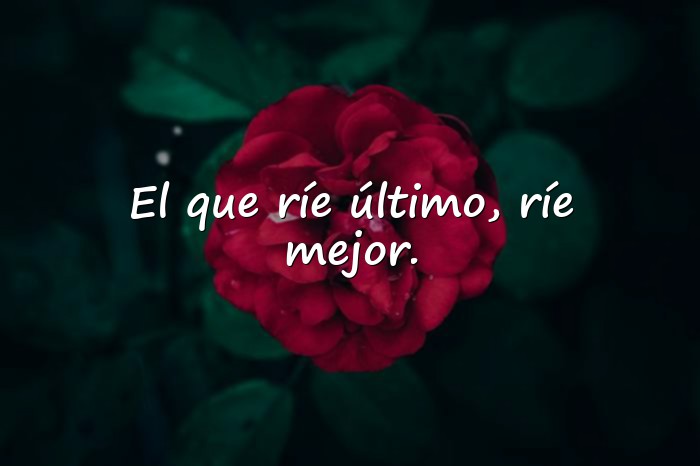 Imágenes dichos de la vida - 12