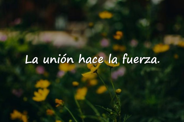 Imágenes dichos de la vida - 8