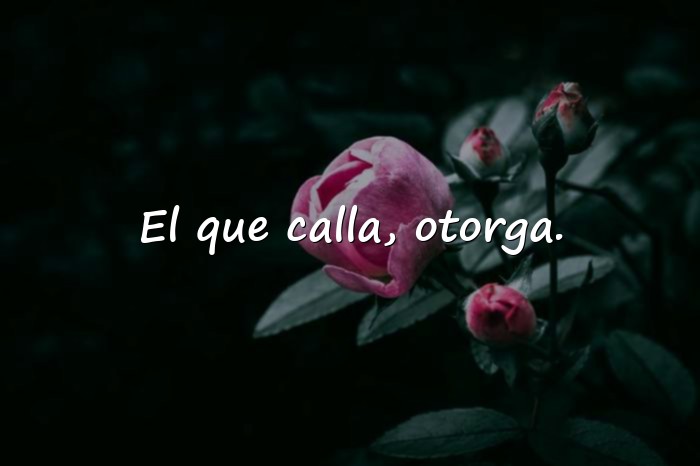 Imágenes dichos de la vida - 7