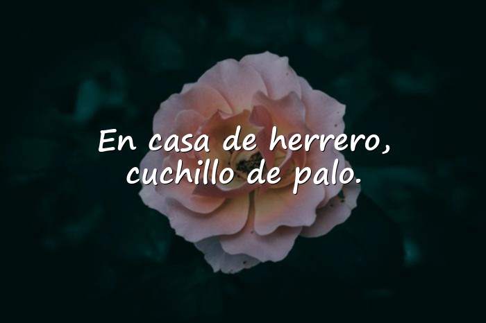 Imágenes dichos de la vida - 5