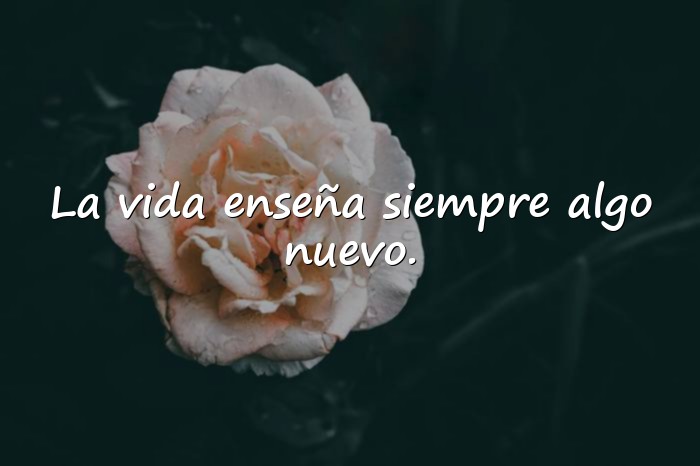 Imágenes dichos de la vida - 1