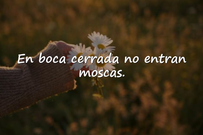 Imágenes dichos populares - 10
