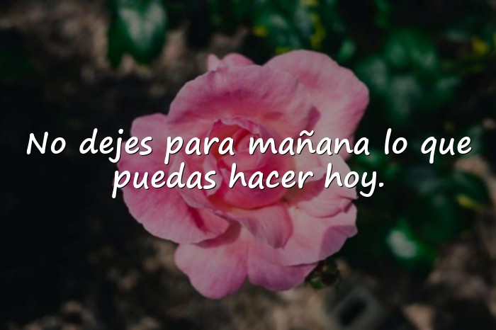 Imágenes dichos populares - 9