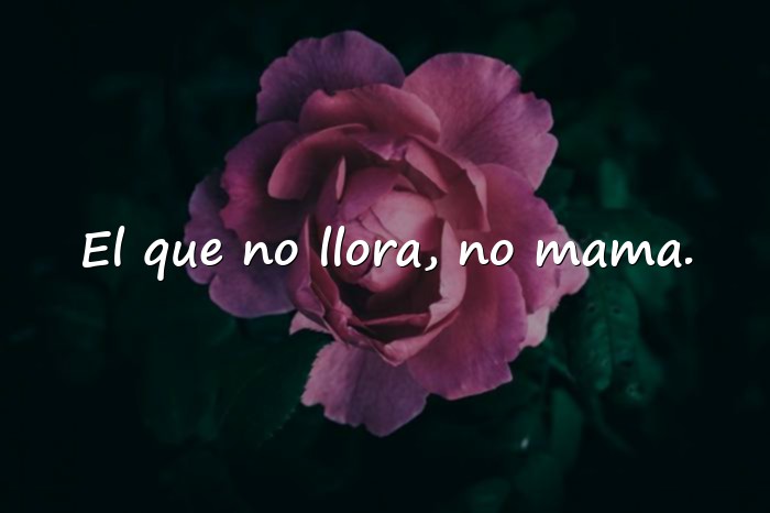 Imágenes dichos populares - 3