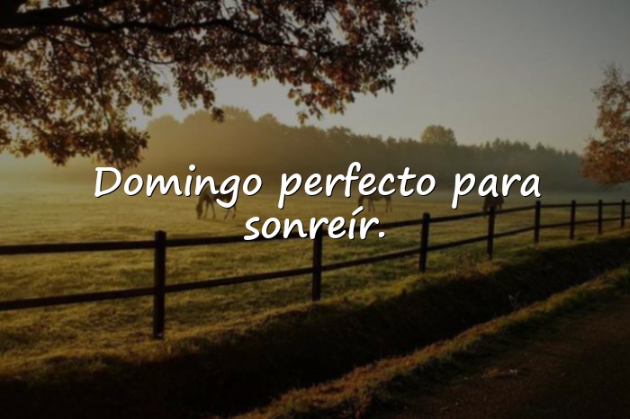 Imágenes domingo frases - 4