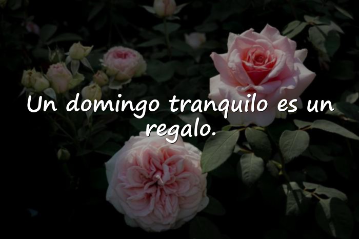 Imágenes domingo frases - 19