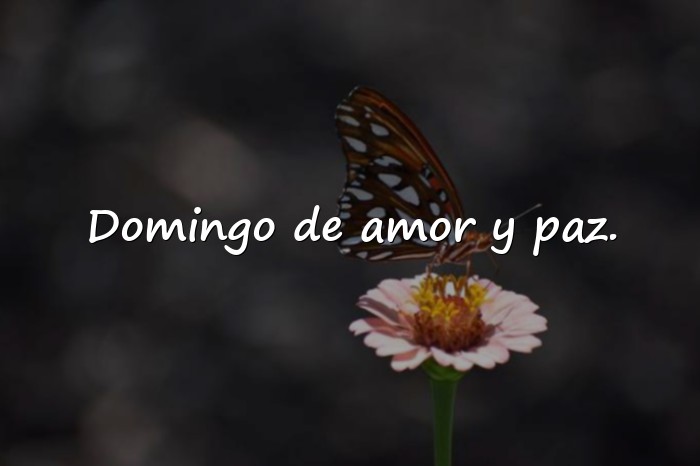 Imágenes domingo frases - 13