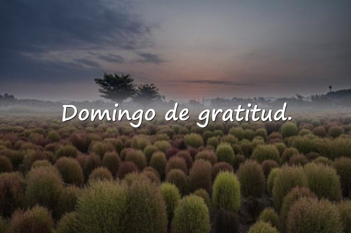 Imágenes domingo frases - 10