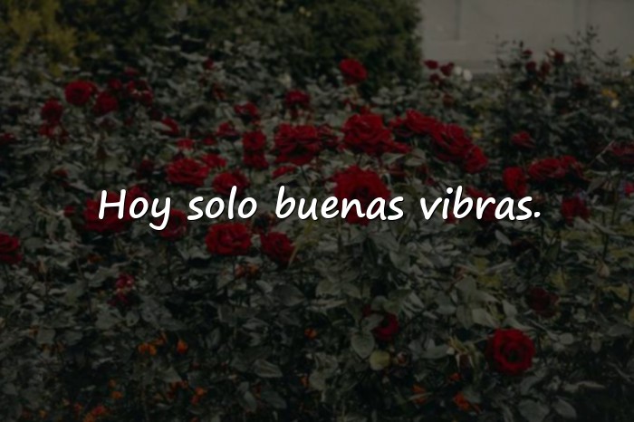 Imágenes domingo frases - 7
