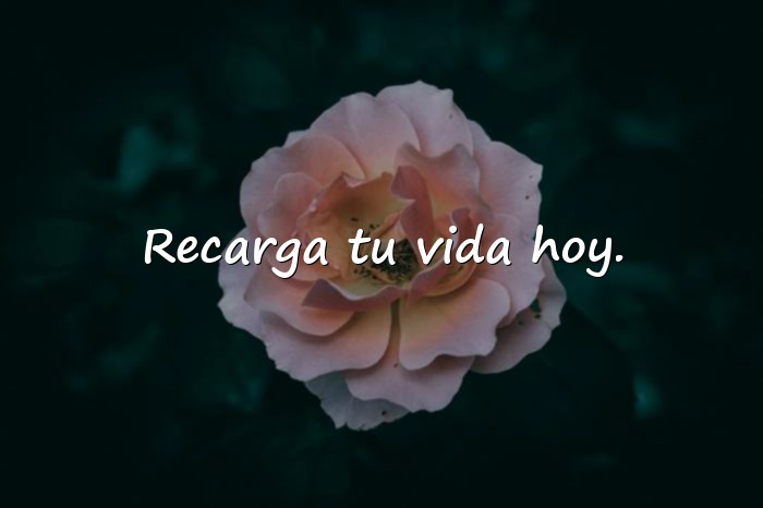 Imágenes domingo frases - 4