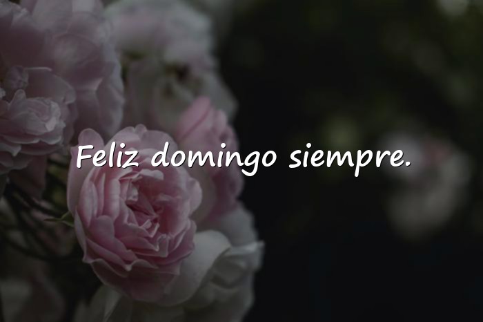 Imágenes domingo frases - 1
