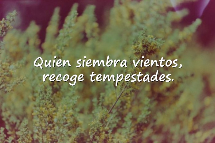 Imágenes ejemplo de refranes - 24