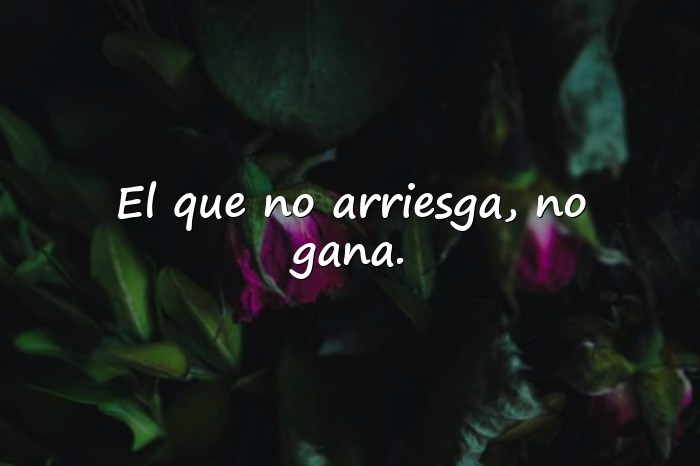 Imágenes ejemplo de refranes - 21