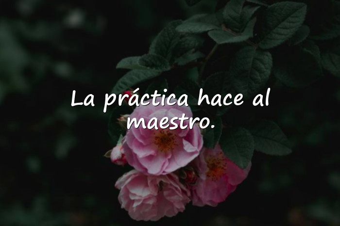 Imágenes ejemplo de refranes - 9