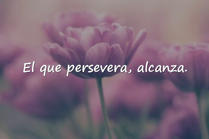 Imágenes ejemplo de refranes - 1