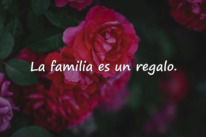 Imágenes familia frases - 25