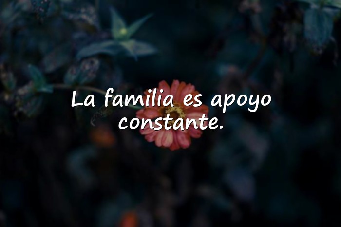 Imágenes familia frases - 20