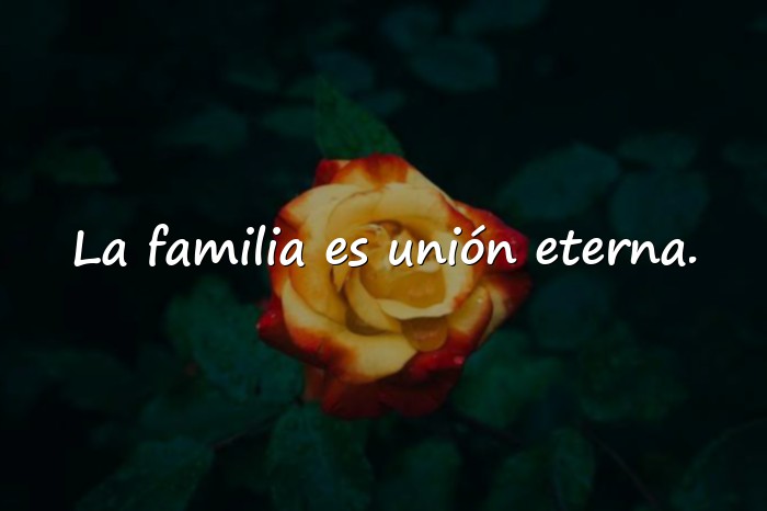 Imágenes familia frases - 16