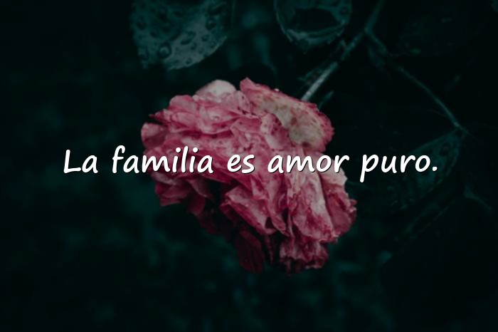 Imágenes familia frases - 9
