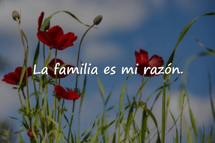 Imágenes familia frases - 3