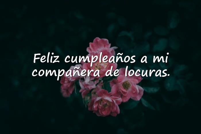Imágenes feliz cumpleaños amiga frases originales - 16