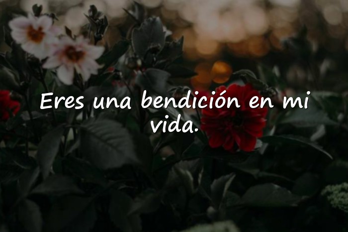 Imágenes feliz cumpleaños amiga frases originales - 7