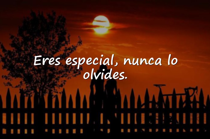 Imágenes feliz cumpleaños amiga frases originales - 3