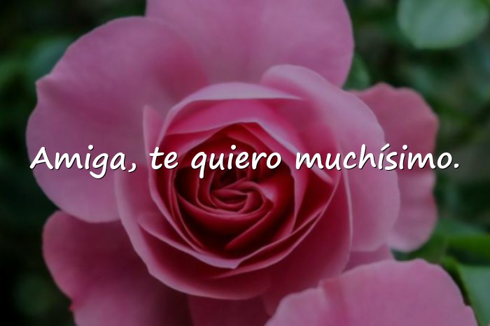 Imágenes feliz cumpleaños amiga frases originales - 6