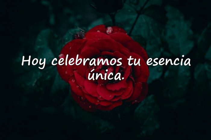 Imágenes feliz cumpleaños frases originales - 21