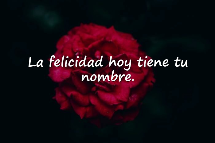 Imágenes feliz cumpleaños frases originales - 16