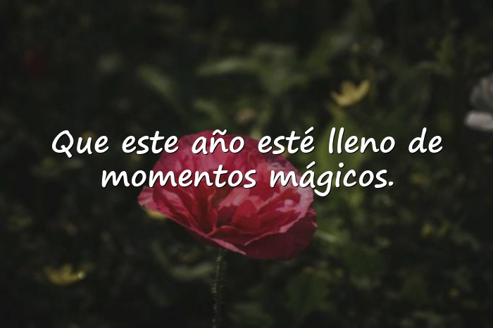 Imágenes feliz cumpleaños frases originales - 11